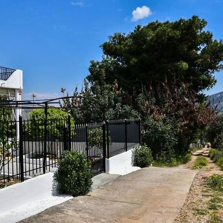 Μονοκατοικία Δίπλα Στην Θάλασσα سالاميس المظهر الخارجي الصورة